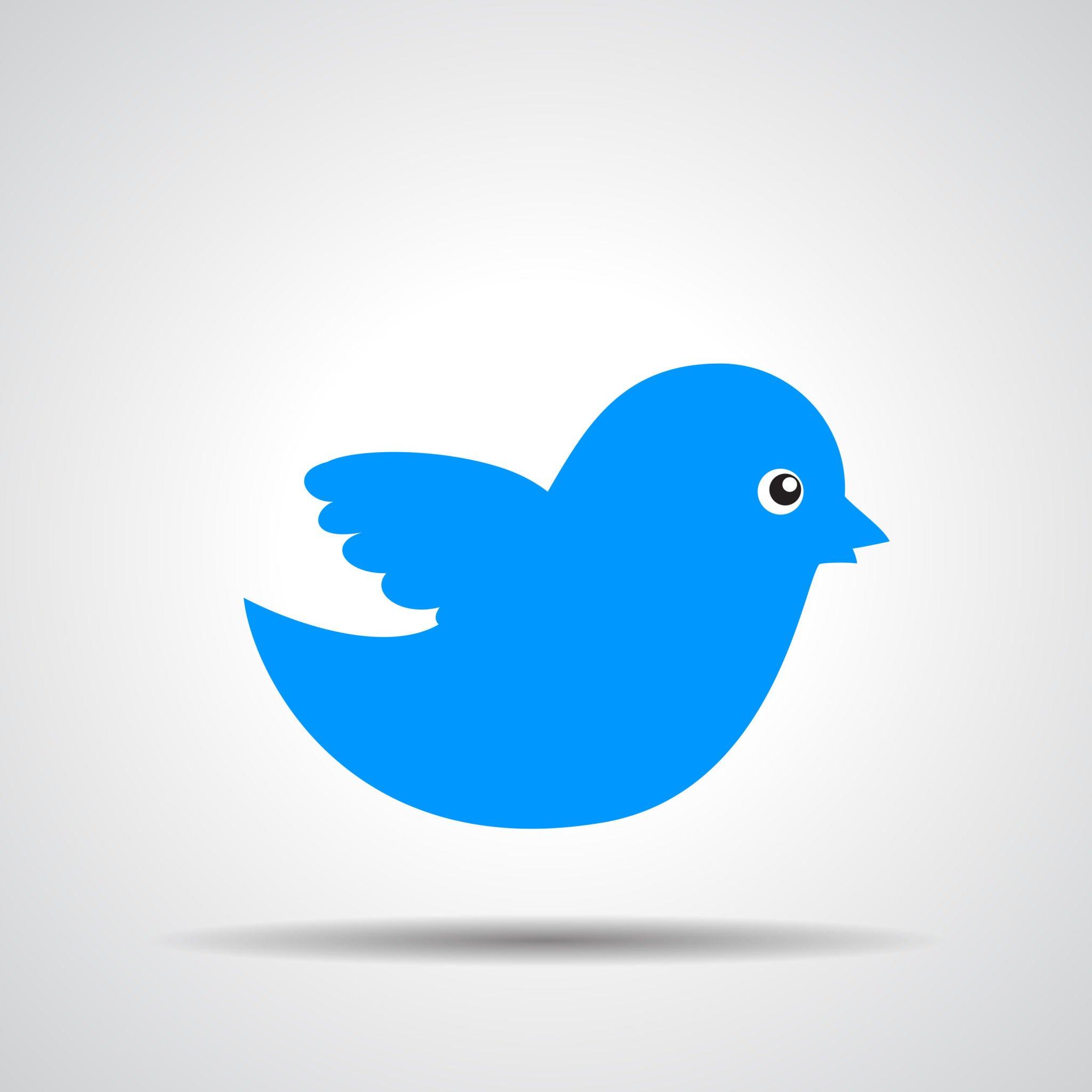 launch a twitter